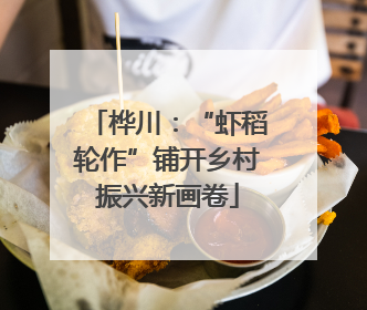 桦川：“虾稻轮作”铺开乡村振兴新画卷